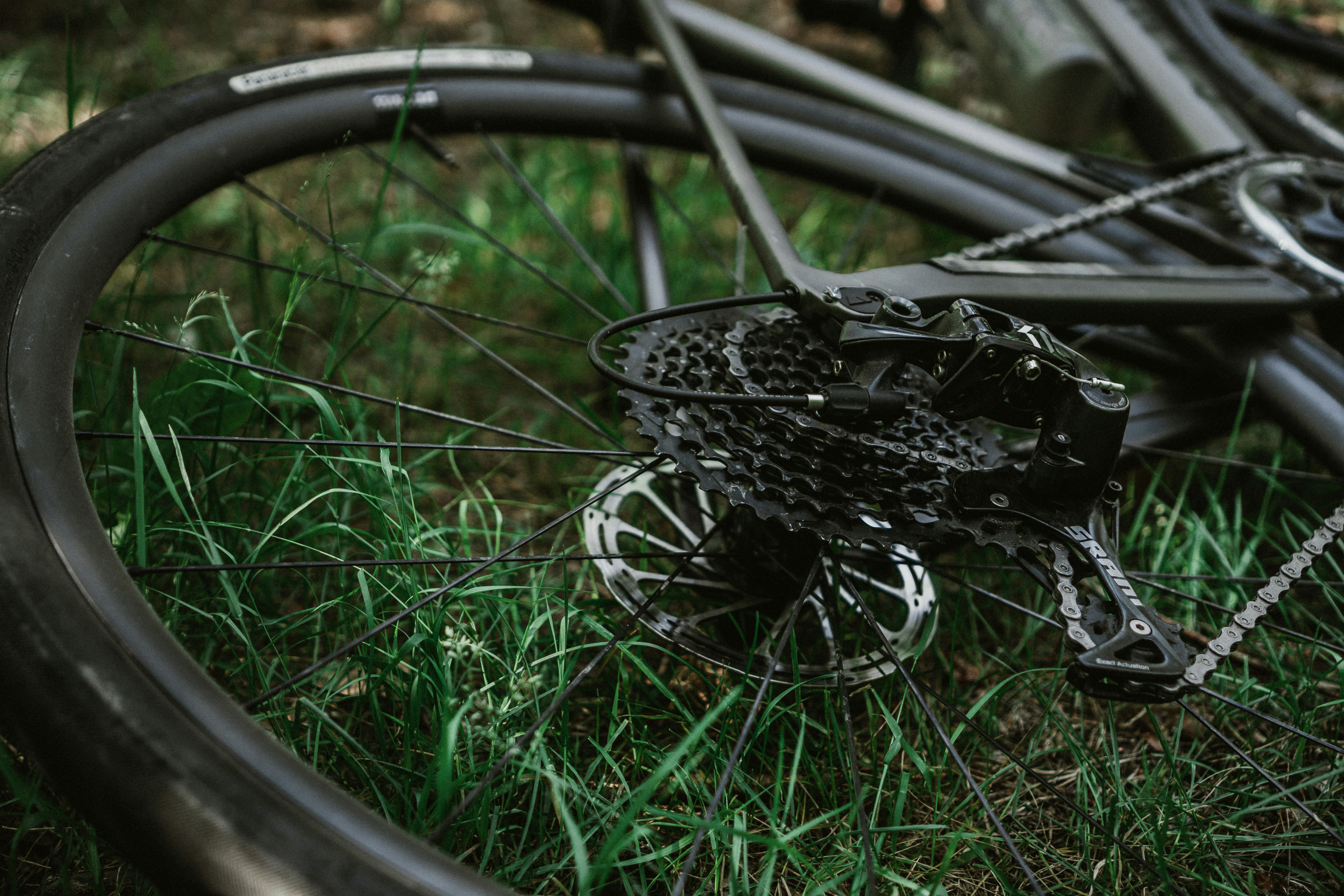 bicycle wheel on green grass